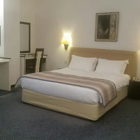 酒店 King Guvenlik 3*